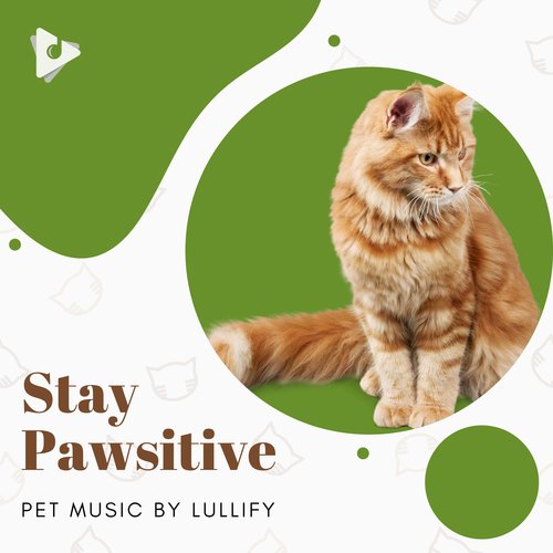 Ok But Pet Me cover art