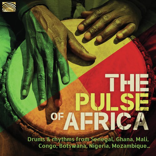 Ngungu Song Download from The Pulse of Africa JioSaavn