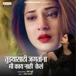 Tujhyasathi Jagatana Mi Kay Nahi Kel