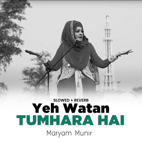 Yeh Watan Tumhara Hai (Lofi-Mix)