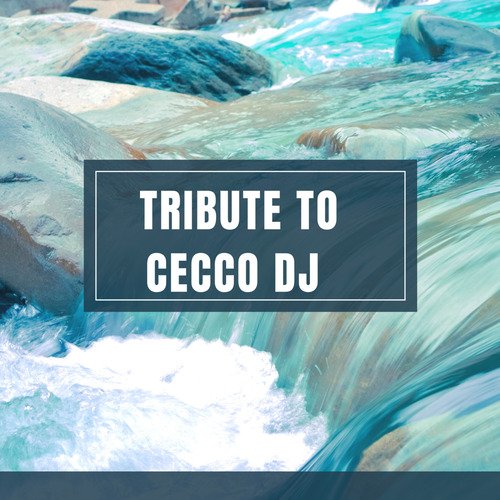 tribute to cecco dj_poster_image