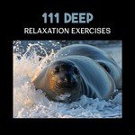 111 Deep Relaxation Exercises – Calming Tracks for Deep Sleep, Rest & Regeneration, Healing Sounds of Water (Rain, Waterfall, Ocean, River)
