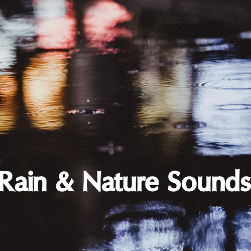 Rain Sound: Water Falling