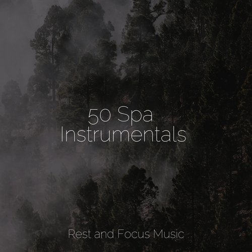 50 Spa Instrumentals