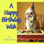 A Happy Birthday Wish