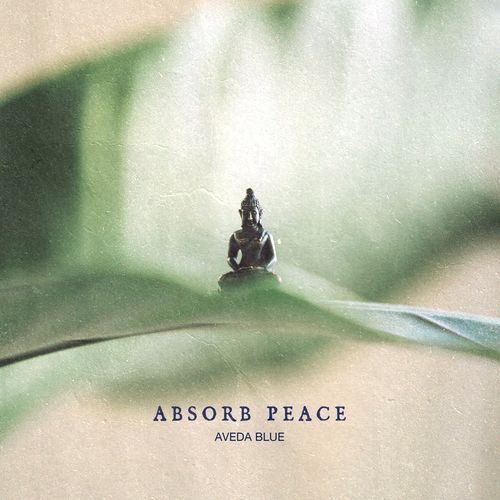 Absorb Peace_poster_image