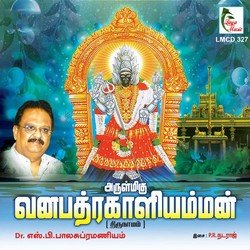 Arulmigu Vanapadra Kaaliamman-AhoaQSN,e1A