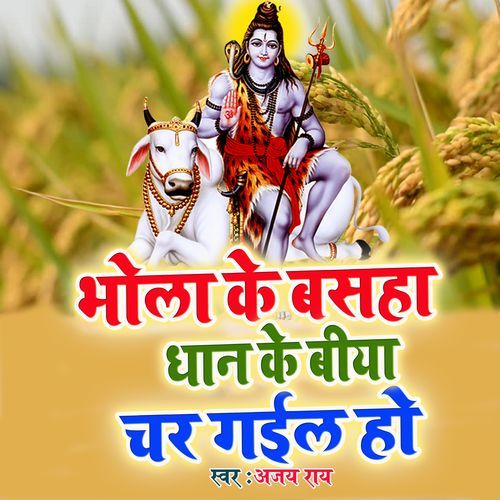 Bhola Ke Basha Dhan Ke Biya Char Gayil Ho