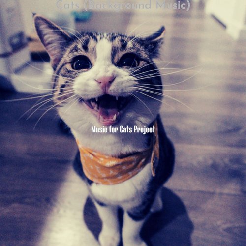 Kittens (Feelings) cover art