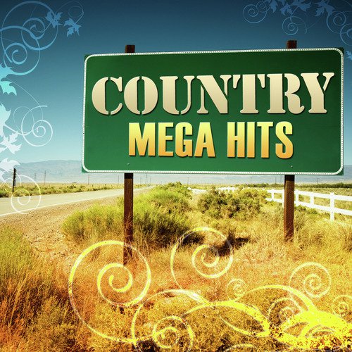 Country Mega Hits_poster_image