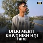 DILKI MERIT KHWAHISH HAI