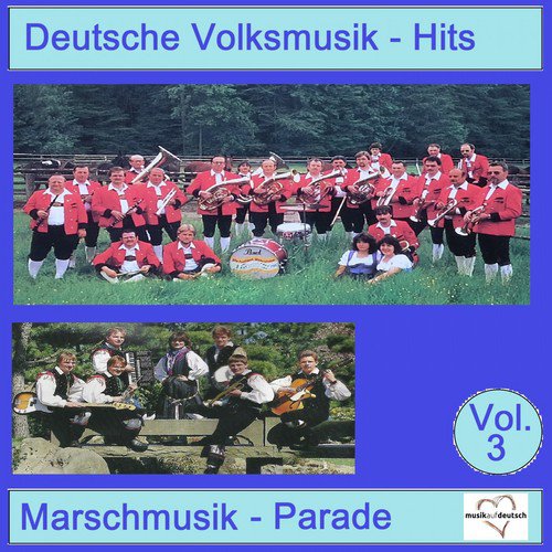 Deutsche Volksmusik-Hits: Marschmusik-Parade, Vol. 3