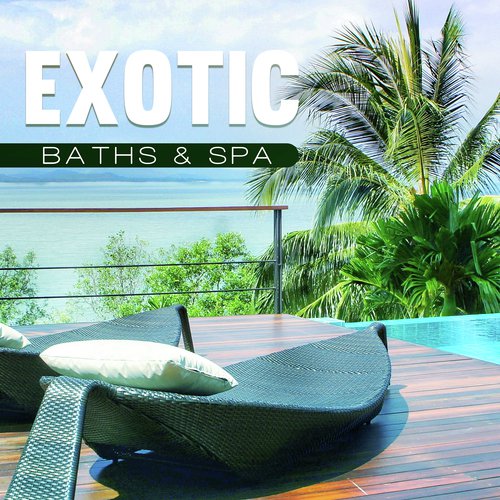 Wellness Spa Oasis cover art