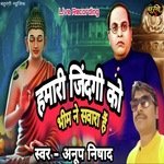 Hamari Zindgi ko Bhim Ne Sawara Hai (Hindi)