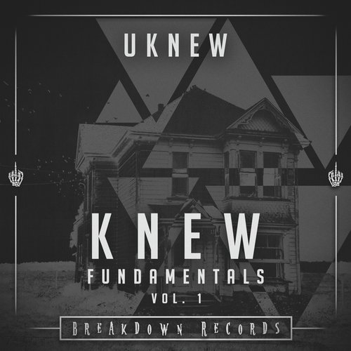 Knew Fundamentals, Vol. 1_poster_image