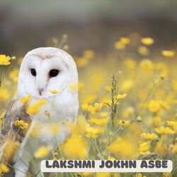 LAKSHMI JOKHON ASBE-ITomXlleGgQ