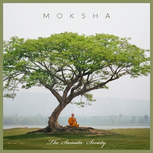 The Healing Mountains cover art