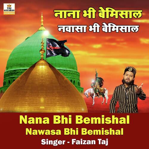 Nana Bhi Bemishal Nawasa Bhi Bemishal
