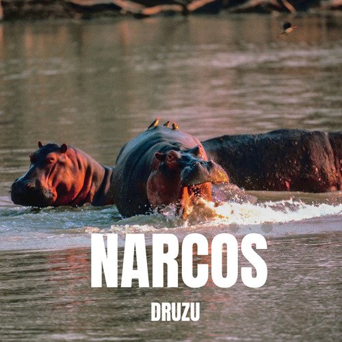 Narcos cover art