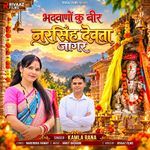 Narsingh Devta Jagar artwork