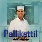 Pallikattil