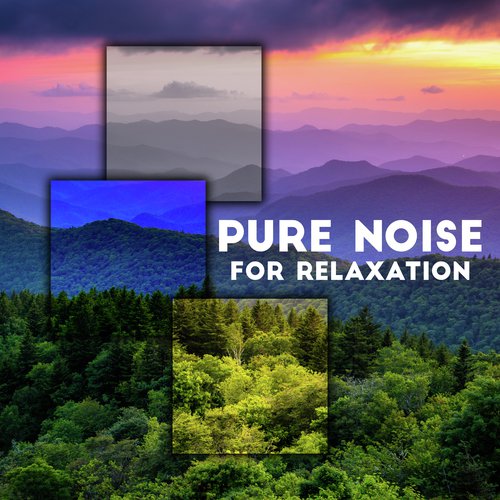 Ambient Nature Sounds cover art