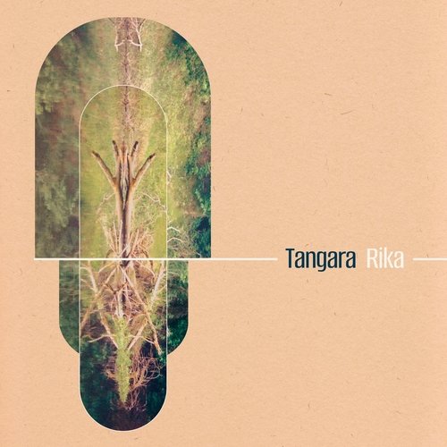 Tariq cover art