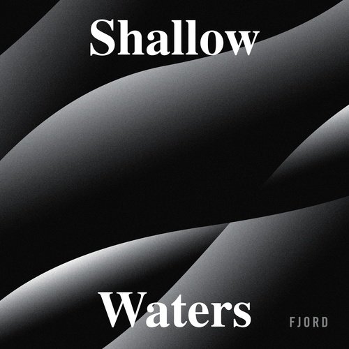 Shallow Waters_poster_image