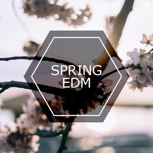 Spring EDM