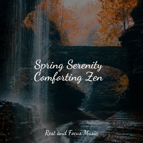 Sunset Boutique cover art
