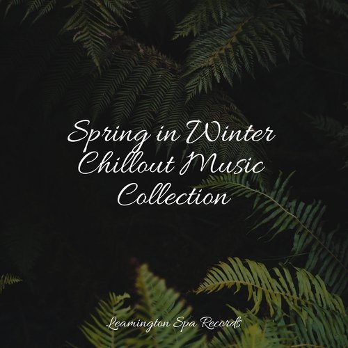 Spring in Winter Chillout Music Collection