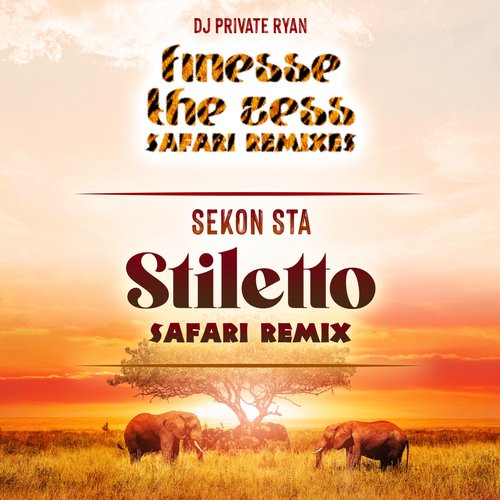 Stiletto (Safari Remix)_poster_image