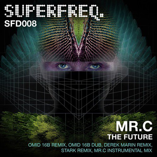 The Future (Omid 16B Remix) cover art