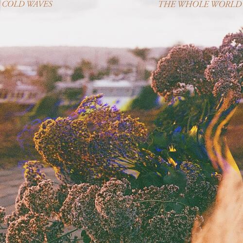 The Whole World cover art