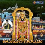 Tirumala Nilaya artwork