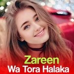 Nawe Shawa Yari Zargara