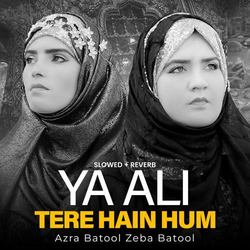 Ya Ali Tere Hain Hum (Lofi-Mix)