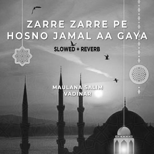 Zarre Zarre Pe Hosno Jamal Aa Gaya (Lofi-Mix)