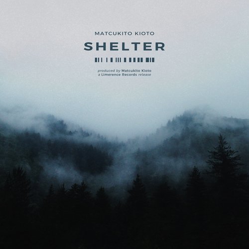 shelter cover art