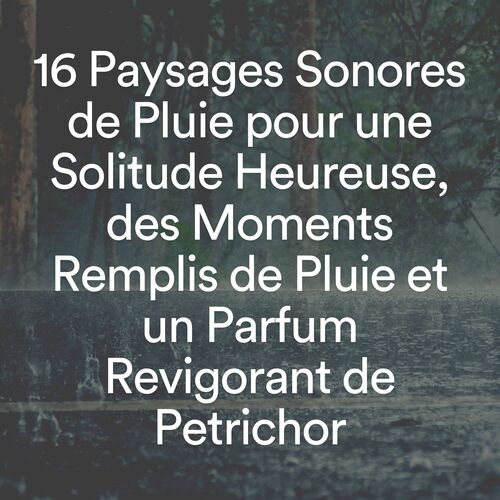 16 paysages sonores de pluie pour une solitude heureuse, des moments remplis de pluie et un parfum revigorant de petrichor_poster_image