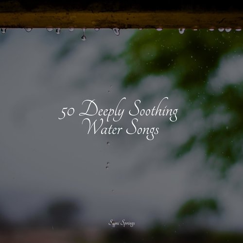 Rain, Storm and Thunder cover art