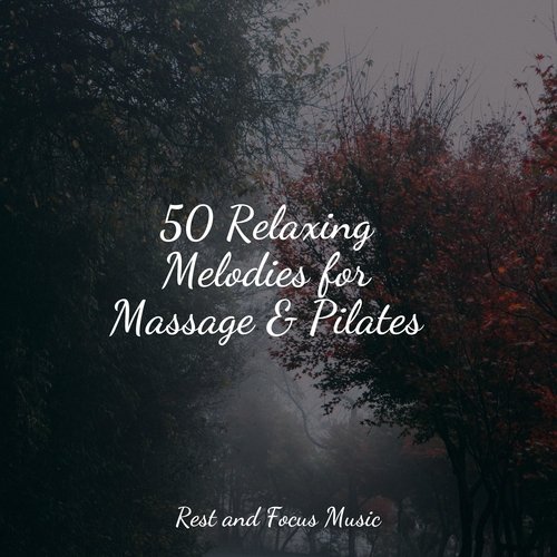 50 Relaxing Melodies for Massage & Pilates