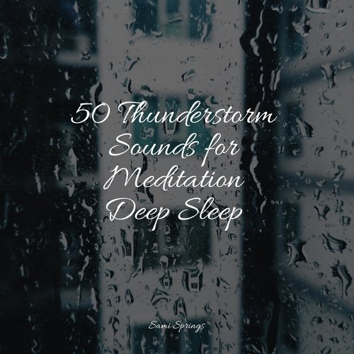 Rain, Storm and Thunder cover art