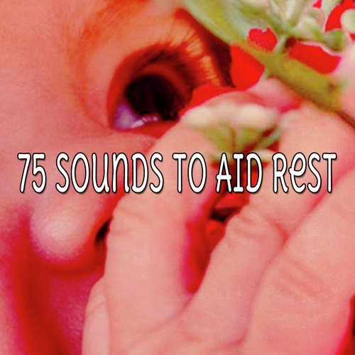 75 Sounds To Aid Rest_poster_image