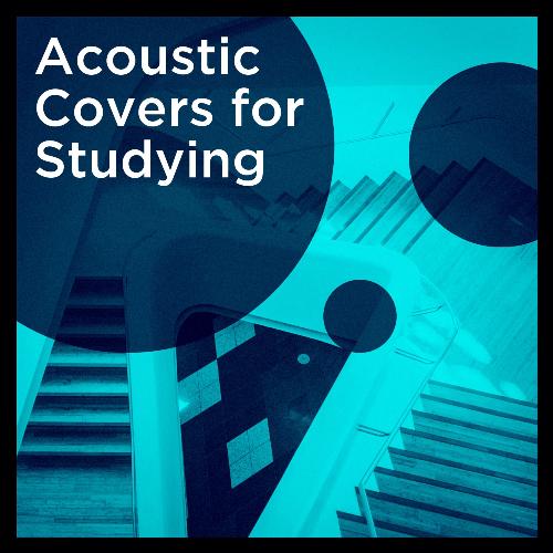 Acoustic covers for studying