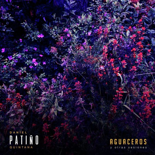 Hippie (Sesión en Berklee) [feat. Patiño] cover art