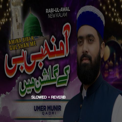 Amina Bibi K Gulshan Me Lofi Version