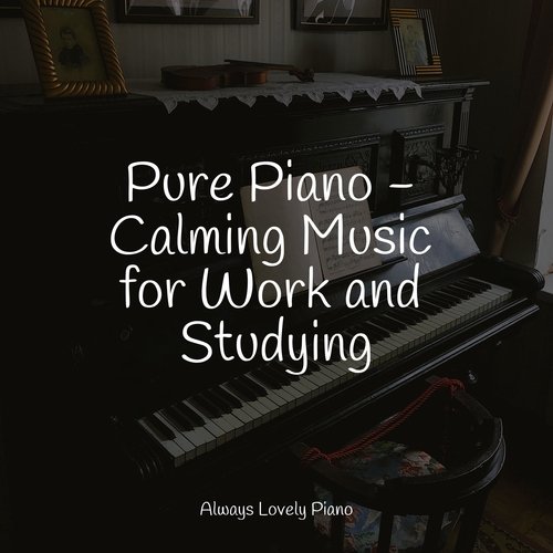 Calming Piano Melodies