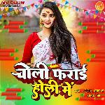 Choli Farai Holi Me