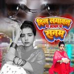 Dil Lagawal Na Ashan Ba Sanam